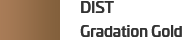 DIST 컬러 그라데이션 골드